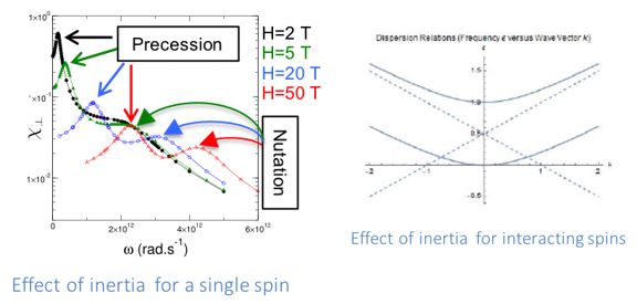 Inertial dynamics