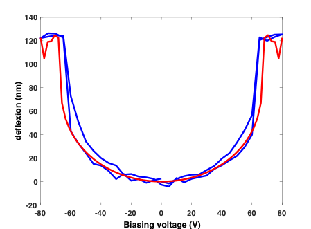 Displacement measured at the center of the diaphragm (blue curve) and theory (red curve). 