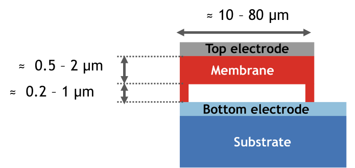 Cross-section view of a Capacitive Micromachined Ultrasonic Transducer.