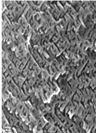 Porous silicon microscopic view