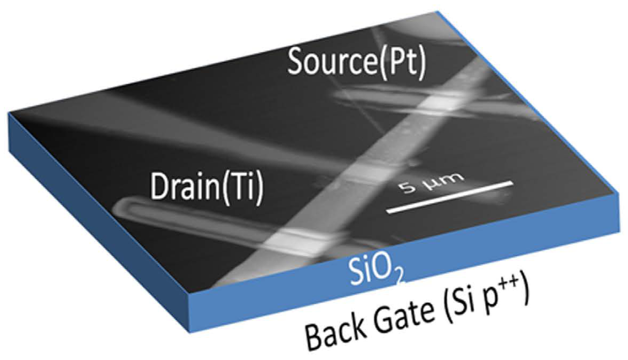 Schematic/AFM image, cross-sectional device structure and experimental characteristics of a SGT [Dah16]