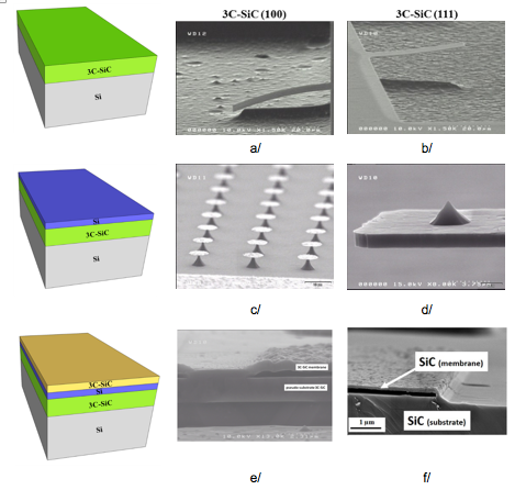 ecosym image 5 mems nems