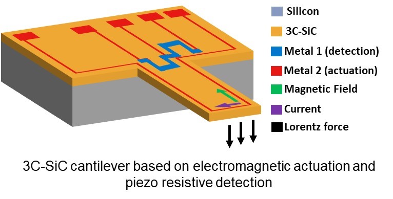 ecosym image 7 mems nems