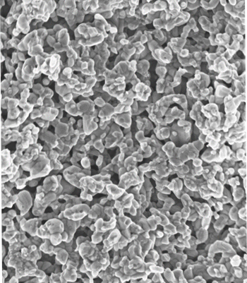 ZnO nanostructured ceramic by SPS at 600°C