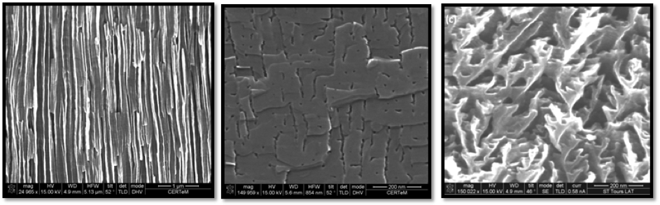 different morphologies of porous silicon carbide