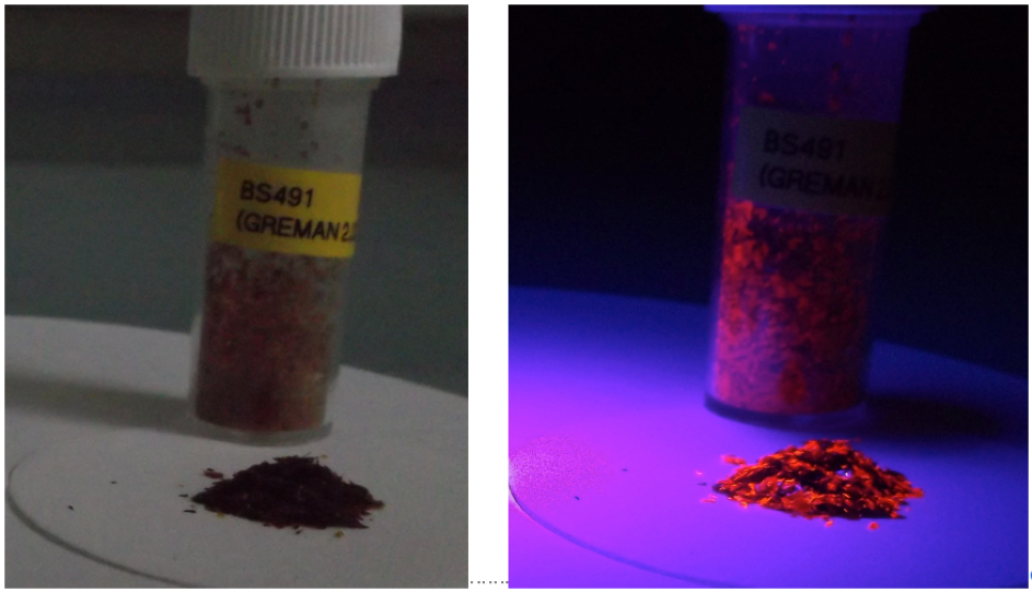 Surface area measure with photoluminescence