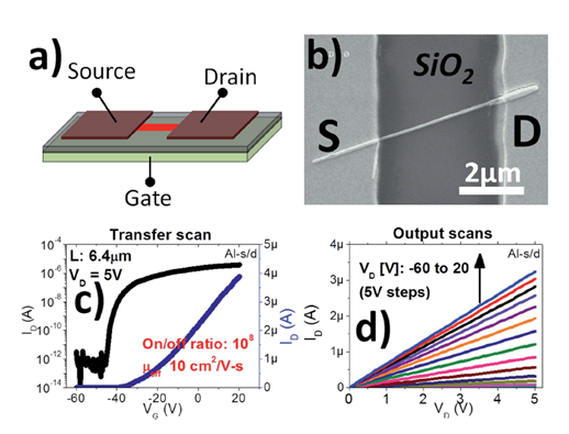 (a) Schematic illustration of the single ZnO NW-FET structure. (b) SEM image of a representative single ZnO NW device. (c) Transfer scan in both semi-log (left) and lin–lin scale (right). (d) Family of output scans at VG = -60 to 20V (5V steps) for the sa