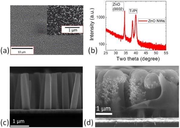 Figure 1 ecosyms MEMS NEMS